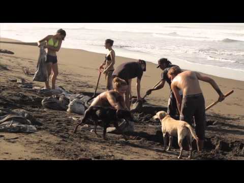 Train poachers to be nature guides in Costa Rica