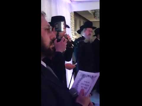 בראשית עולם / Bereshit Olam Yohai Cohen