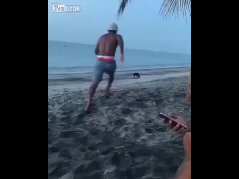 Man kicks dog see how karma takes over