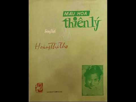 Màu hoa thiên lý - Trường Hải
