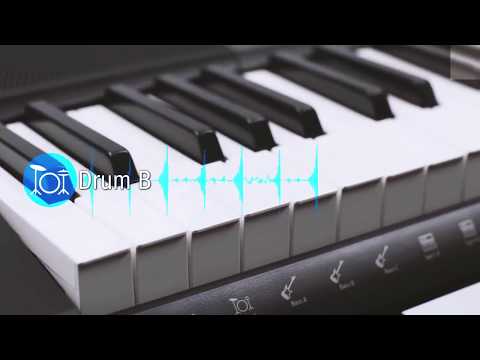 teclado casio ctk 1550 tem sensibilidade