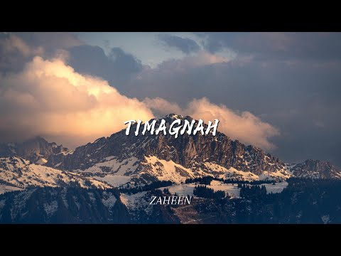 ZAHEEN - TIMAGNAH (COVER)