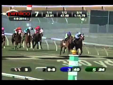 Pimlico 04/06/14 race 7