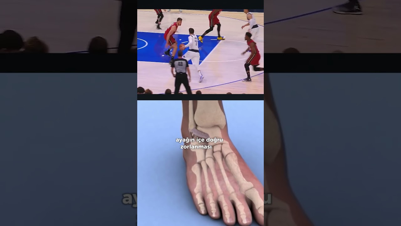 Ali Tufan Pehlivan-4