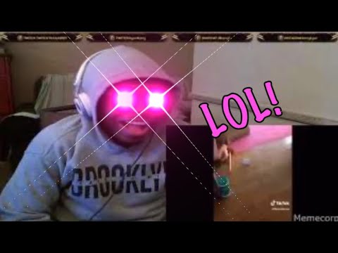 THATS A DOG D*** | I bet these Tiktok memes make you laugh (TIK TOK MEMES) REACTION