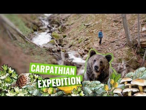 Domogled National Park #CarpathianExpedition