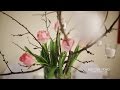 Видеоотчет о первом бранче для невест в Чернигове от KOVTUN VIDEO для Eli's brides и ...