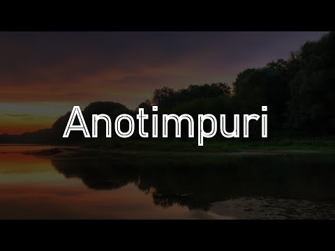 Andia x Spike - Anotimpuri #Versuri