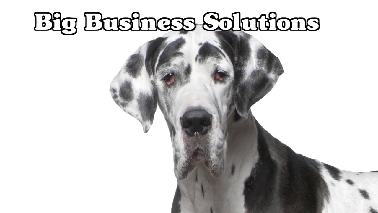 CASSCOMM - Business Solutions