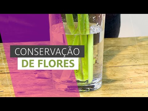 CONSERVAÇÃO DE FLORES - Aumente a durabilidade das suas flores!