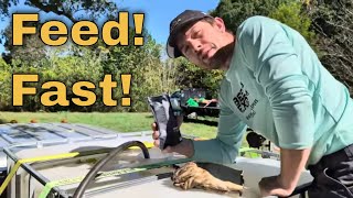 Winter Syrup Feeding Tips Beekeepers Should Know