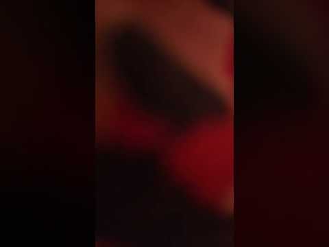 Lieblings Mensch von Namika Sell