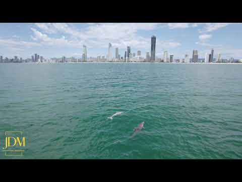 2020 Sea Ray 400 SLX OB