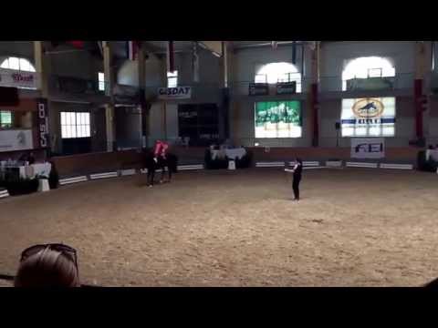 CVIO Stadl Paura 2014 - Sabine Kuntner - Freestyle