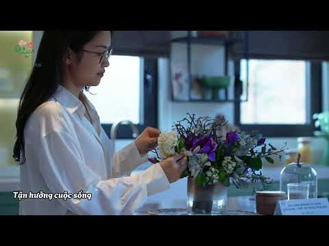 Video dự án 5