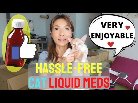 How to Give a Cat Liquid Medicine WITHOUT a Syringe... Or Getting Scratched