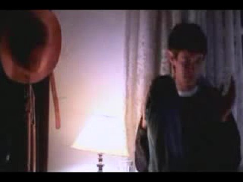 Wander Wildner - Amigo Punk