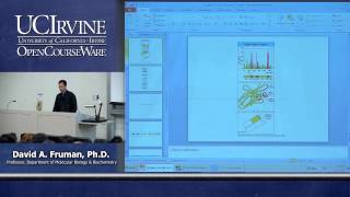 Biological Sciences M121. Immunology with Hematology. Lecture 07. Antibody Structure & B-Cells.