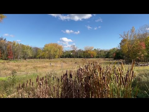 NJ Bergen County’s Teaneck Creek Park