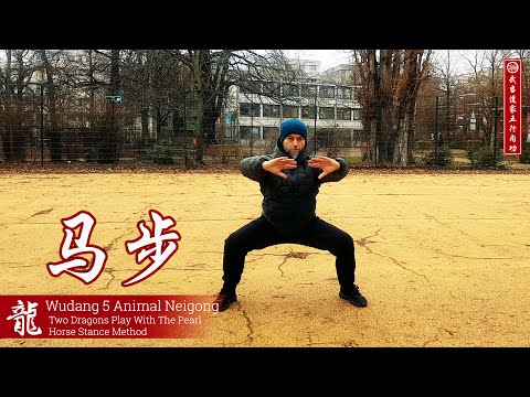 Dragon Breathing Exercise - Horse Stance Method - Wudang Five Animal Neigong