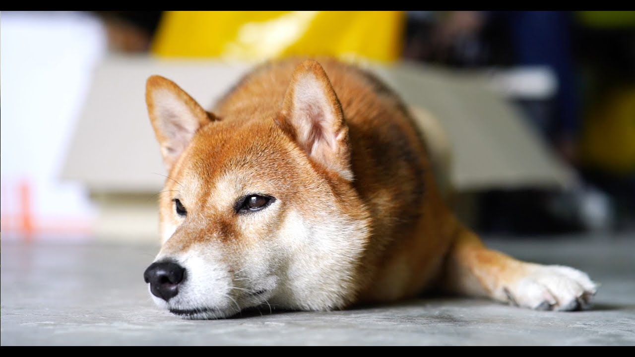 Marketing with Agentforce