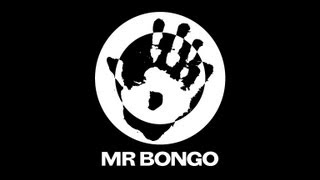 Welcome to the World of Mr Bongo