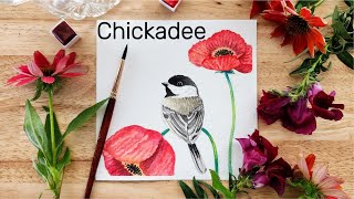 😊 How to paint a chickadee in watercolor! ❤️ Step by step! Watercolor for beginners and beyond!