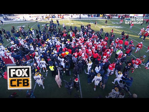 Massive SCUFFLE ensues after Michigan tries to plant flag on Ohio State's logo