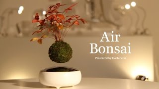 空中に盆栽をディスプレイするクールな「Air Bonsai」が1億円近くの出