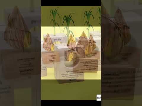 3D printed Award Trophy