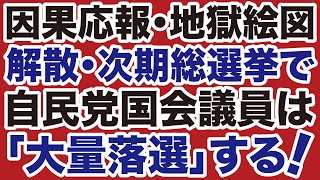 【地獄絵図】自民党議員は次期総選挙で「大量落選」する【デイリーWiLL】