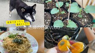 【日常VLOG】たまには実家でまったり妊婦。ちょこっと農業もするよ。