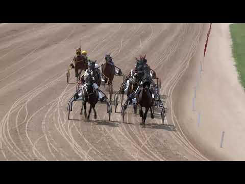 2019.06.22. 03. futam - FATIA NEGRA DÍJ