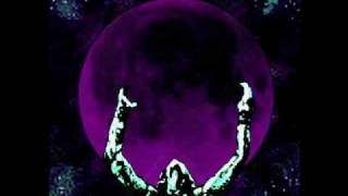 Destinies to Come (Neon Dion) - - - W A S P