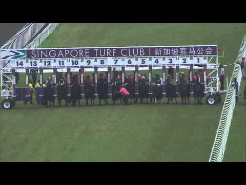 Man run over by horses during a race at Singapore Turf Club