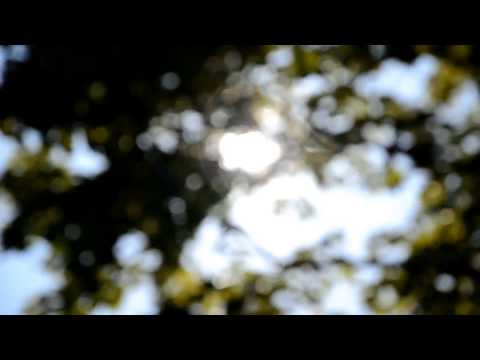 Llogaritja e vetëvetes - Përshkrim poetik