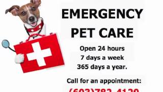 preview picture of video '24 Hour Emergency Vet Concord NH - (603) 782-4129'
