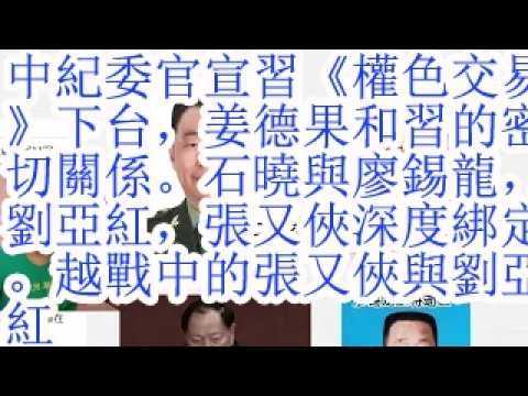 中纪委官宣习《权色交易》下台，姜德果和习的密切关系。石晓与廖锡龙，刘亚红，张又侠深度绑定。越战中的张又侠与刘亚红