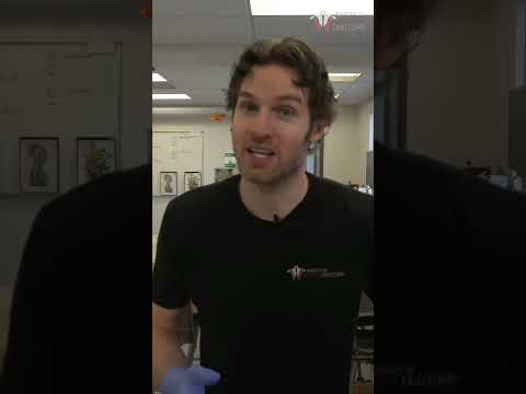 REAL Human Triceps & Elbow