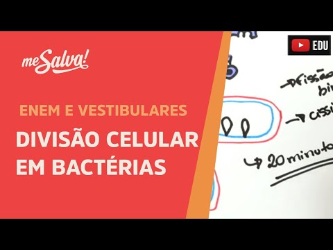 Me Salva! CIT31 - Citologia - Divisão celular em bactérias