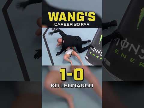 UFC video artwork
