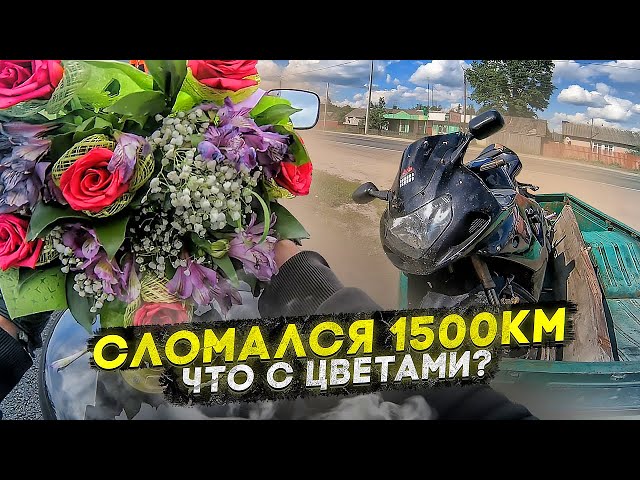 Ямаха Р1 Диабло