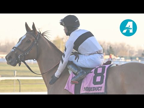 Aqueduct Talking Horses