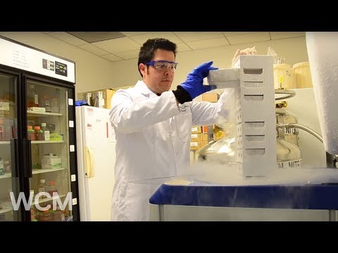 Postdoctoral Fellows | Journey of Discovery | Weill Cornell Medicine