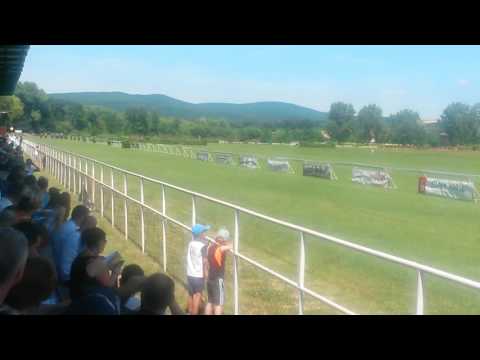 Topolcianky dostihy(1)