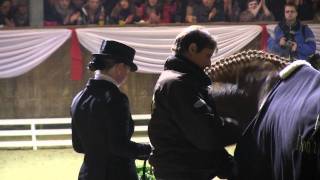 Video von FS Don't Worry