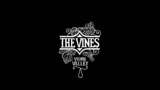 The Vines- Take me back