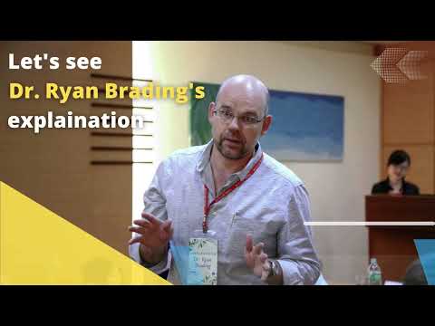 Padrões morais versus direitos universais: qual é a diferença?