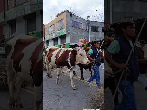 Patate Tungurahua Ecuador #JuanGarcia #JuanchoGarcia #cultura