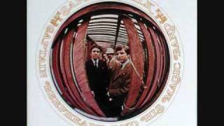 Captain Beefheart - Dropout Boogie